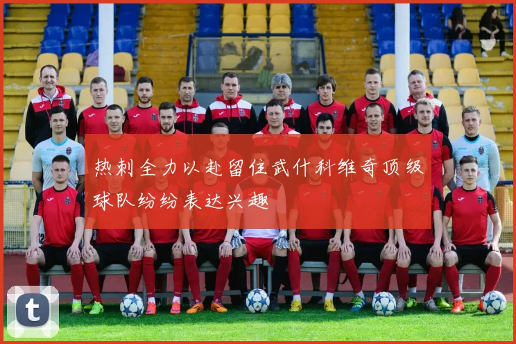 热刺全力以赴留住武什科维奇顶级球队纷纷表达兴趣