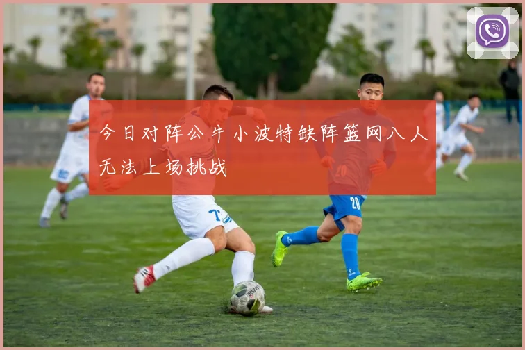 今日对阵公牛小波特缺阵篮网八人无法上场挑战